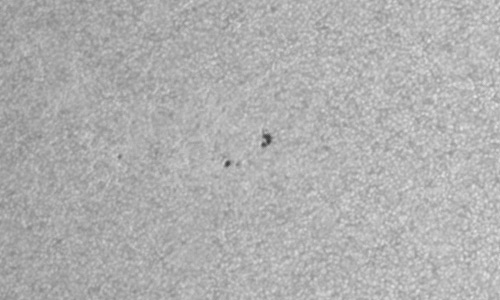 2022年8月9日の黒点（活動領域13075）