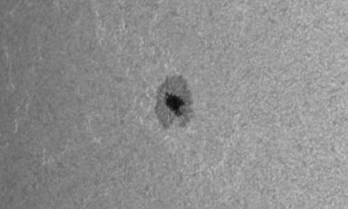 2022年8月9日の黒点（活動領域13076）