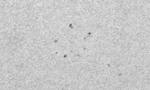 2022年8月9日の黒点（活動領域13077）