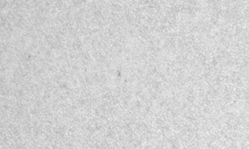 2022年8月10日の黒点（活動領域13075）