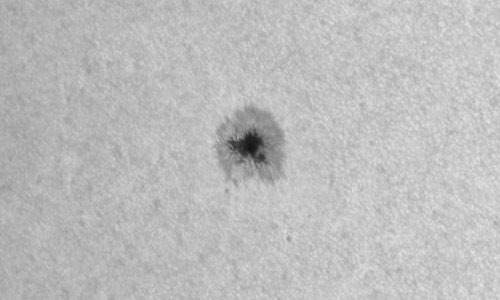 2022年8月10日の黒点（活動領域13076）