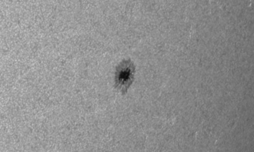 2022年8月12日の黒点（活動領域13071）