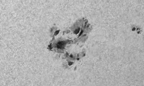 2022年8月17日の黒点（活動領域13078）