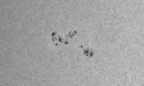 2022年8月17日の黒点（活動領域13082）