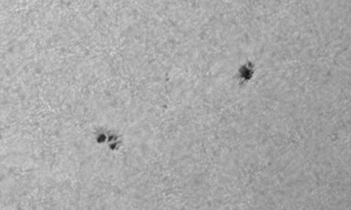 2022年8月17日の黒点（活動領域13083）