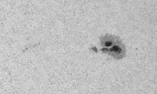 2022年8月19日の黒点（活動領域13081）