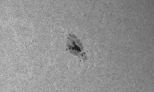 2022年8月21日の黒点（活動領域13081）