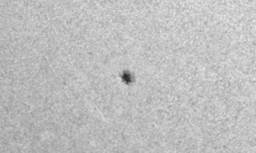 2022年8月26日の黒点（活動領域13087）