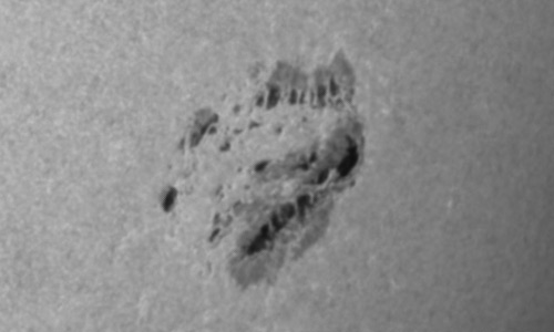 2022年8月26日の黒点（活動領域13088）