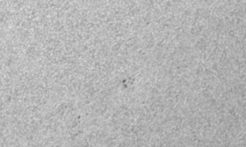 2022年9月7日の黒点（活動領域13093）