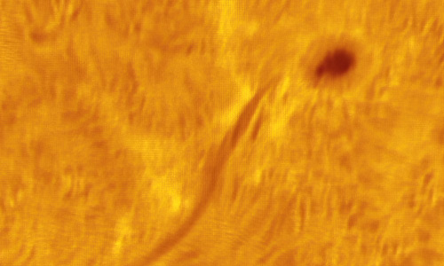 2022年9月7日の活動領域13092とダークフィラメント