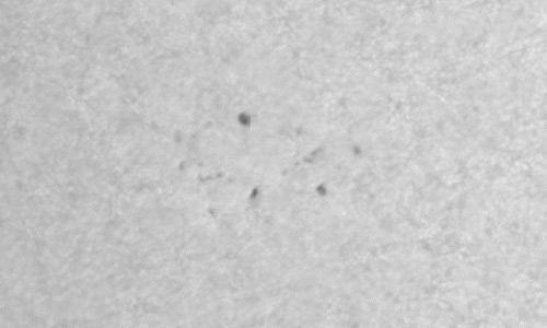 2022年9月8日の黒点（活動領域13098）