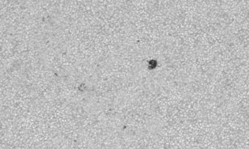 2022年9月9日の黒点（活動領域13094）