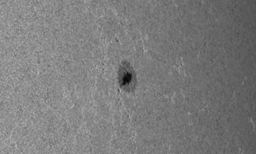 2022年9月11日の黒点（活動領域13092）