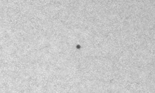 2022年9月11日の黒点（活動領域13094）