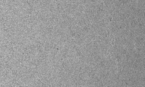 2022年9月11日の黒点（活動領域13097）