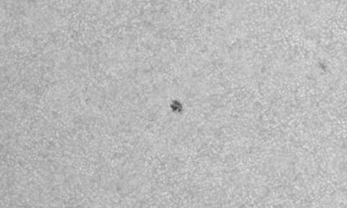 2022年9月11日の黒点（活動領域13099）