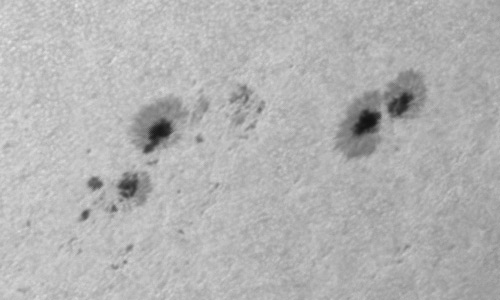 2022年9月21日の黒点（活動領域13102）