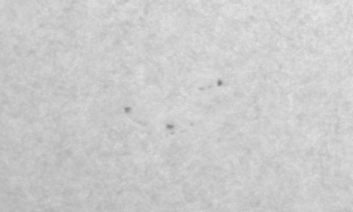 2022年9月21日の黒点（活動領域13108）