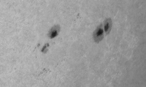 2022年9月22日の黒点（活動領域13102）