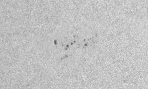 2022年9月28日の黒点（活動領域13113）