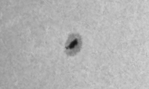 2022年9月30日の黒点（活動領域13111）