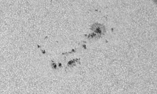 2022年10月2日の黒点（活動領域13113）