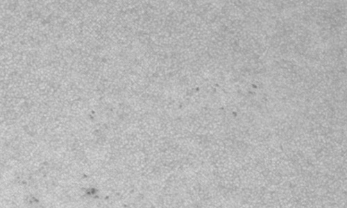 2022年10月9日の黒点（活動領域13120）