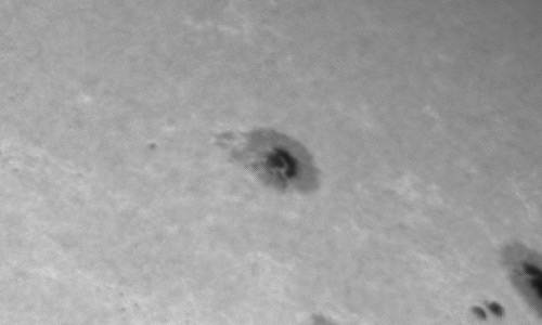 2022年10月12日の黒点（活動領域13116）