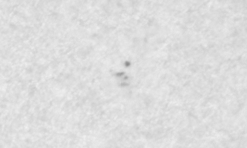 2022年10月12日の黒点（活動領域13118）