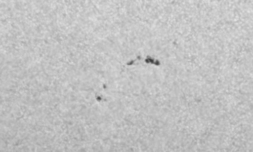 2022年10月21日の黒点（活動領域13127）