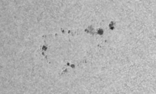 2022年10月29日の黒点（活動領域13133）