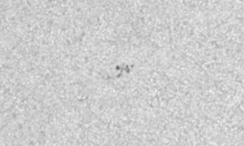 2022年10月29日の黒点（活動領域13134）