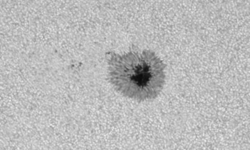 2022年10月31日の黒点（活動領域13131）