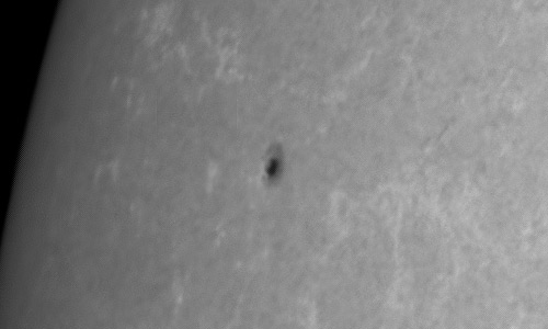 2022年11月2日の黒点（活動領域13137）