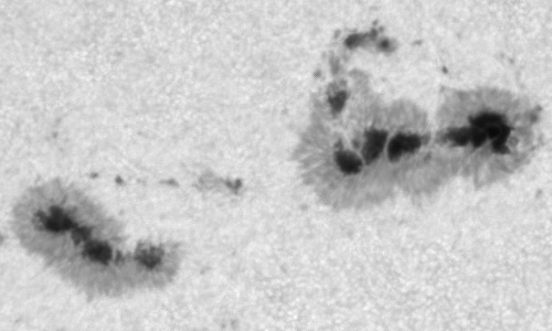 2022年11月11日の黒点（活動領域13141）