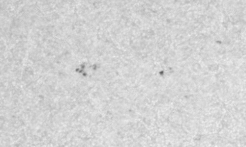 2022年11月11日の黒点（活動領域13142）