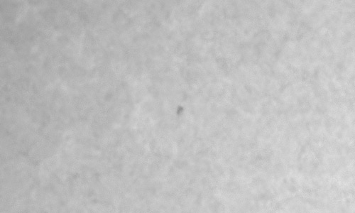 2022年12月9日の黒点（活動領域13159）