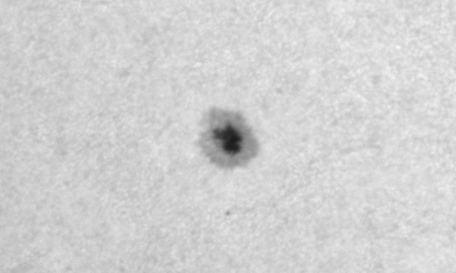 2022年12月12日の黒点（活動領域13162）