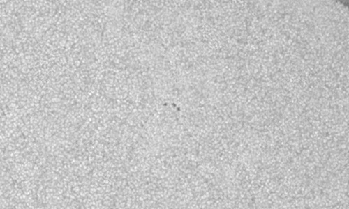 2023年2月10日の黒点（活動領域13209）