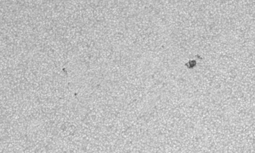 2023年2月10日の黒点（活動領域13215）