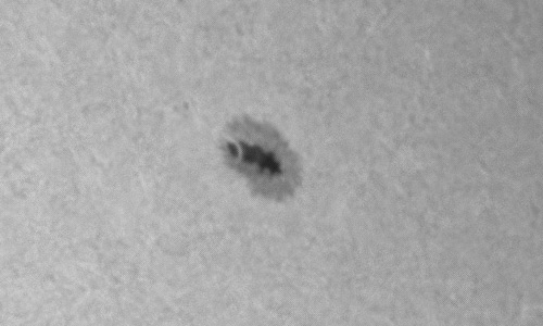 2023年2月15日の黒点（活動領域13216）