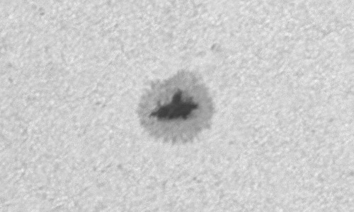 2023年2月15日の黒点（活動領域13220）