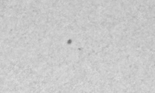 2023年2月15日の黒点（活動領域13221）