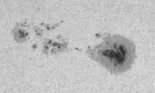 2023年2月15日の黒点（活動領域13226）