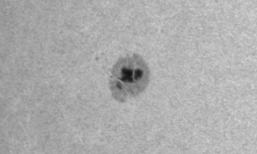 2023年2月21日の黒点（活動領域13230）