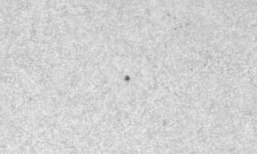 2023年2月21日の黒点（活動領域13233）