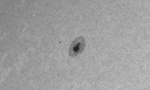 2023年3月1日の黒点（活動領域13238）