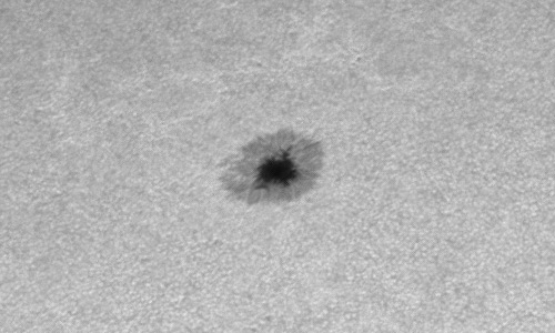 2023年3月4日の黒点（活動領域13239）