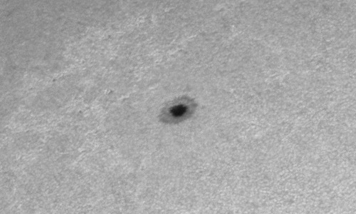 2023年3月4日の黒点（活動領域13241）